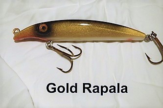 Fat AZ Raptor 6"Musky Glide Bait Gold Rapala