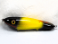 Hughes River Musky 6" Shaker Bait Color; Yellow Bandit