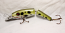 Leo Lure-Shayla Shad-Jointed 5.25" Color Gordon's Frog