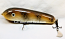 H&H 7" JC Round Nose Glide Bait with Stinger Tail, Brown Walleye